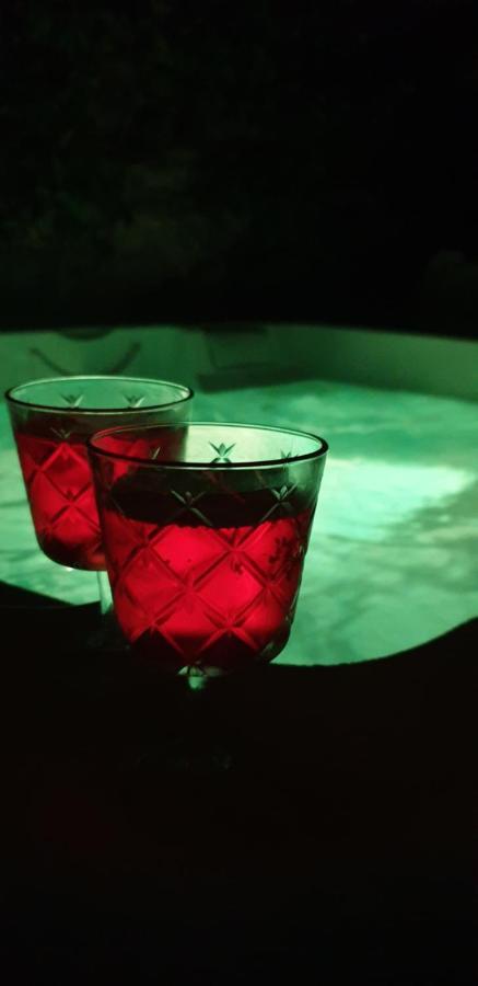 Maison De Maitre A Bram # Jacuzzi Dış mekan fotoğraf