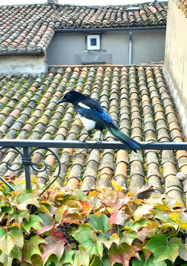 Maison De Maitre A Bram # Jacuzzi Dış mekan fotoğraf